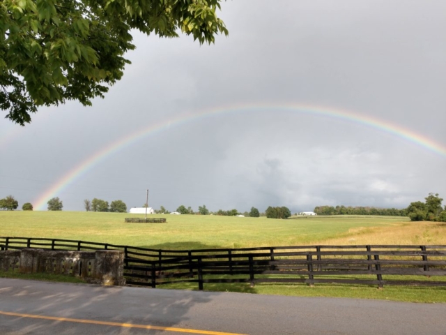 rainbow over amaroo farm