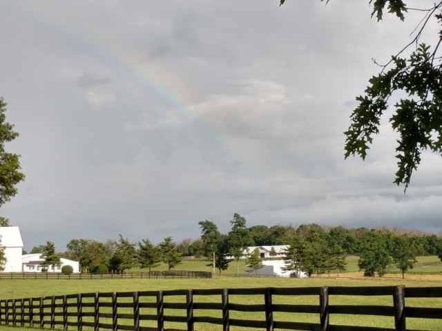 Rainbow over office& training barn
